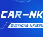 CAR-NK细胞疗法
